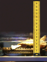 barbus mini pro heater_3